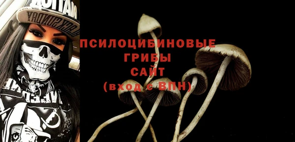 амф Тобольск