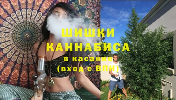 мдпв Туринск