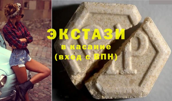 мдпв Туринск