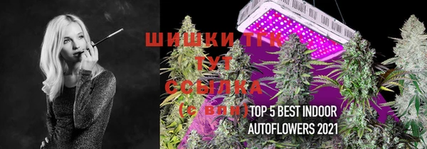 амф Тобольск