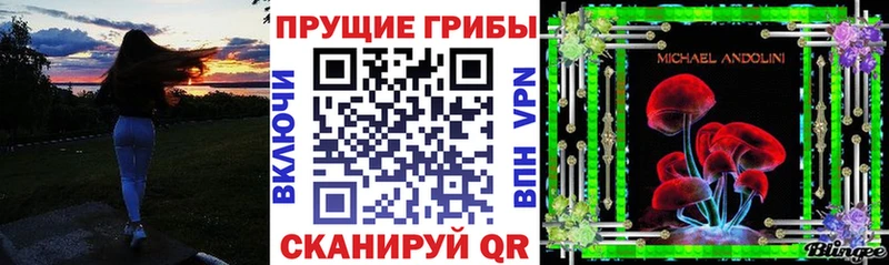 Псилоцибиновые грибы ЛСД Ипатово