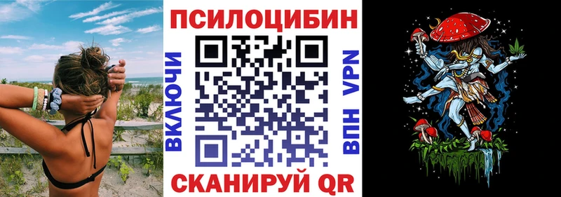 Галлюциногенные грибы Psilocybe  Ипатово 