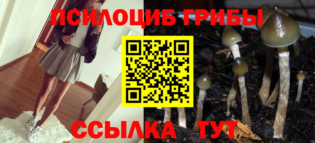 Ипатово  купить наркотик  Вход с VPN  Псилоцибиновые грибы мицелий 